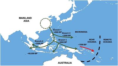 Ethnicity-based classifications and medical genetics: One Health approaches from a Western Pacific perspective